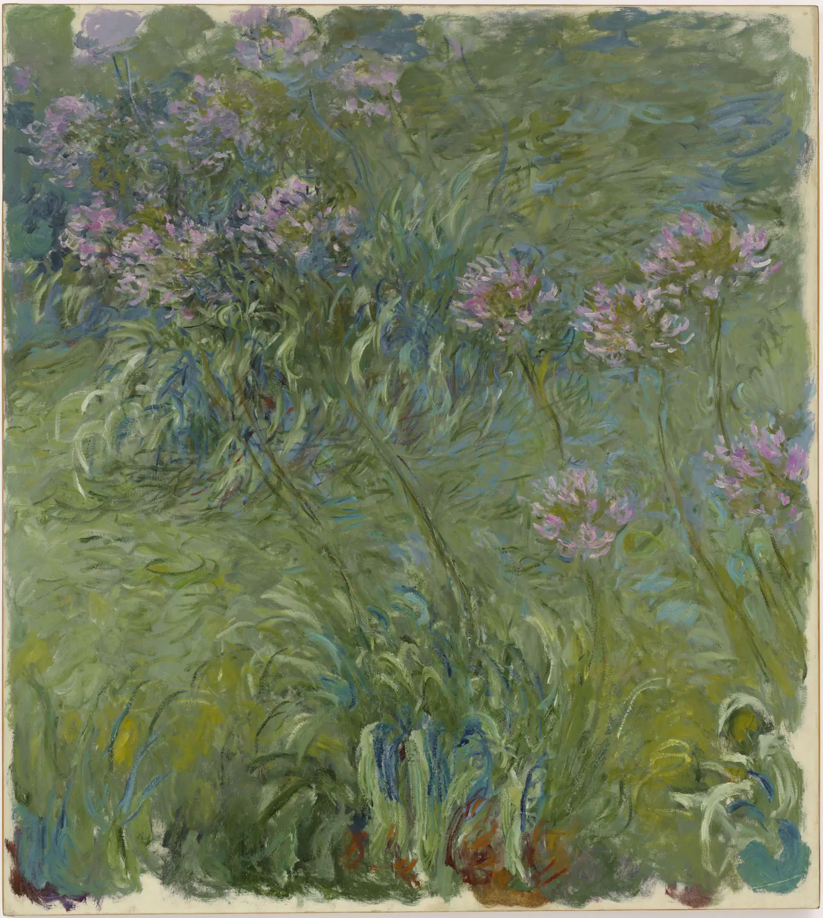 Agapanthus in soft blues and greens, in the style of Monet.